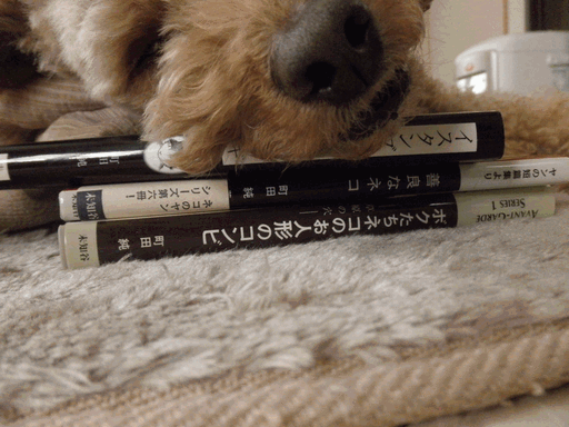 c0136736_1859521.gif