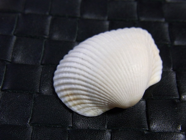a0175545_22312832.jpg