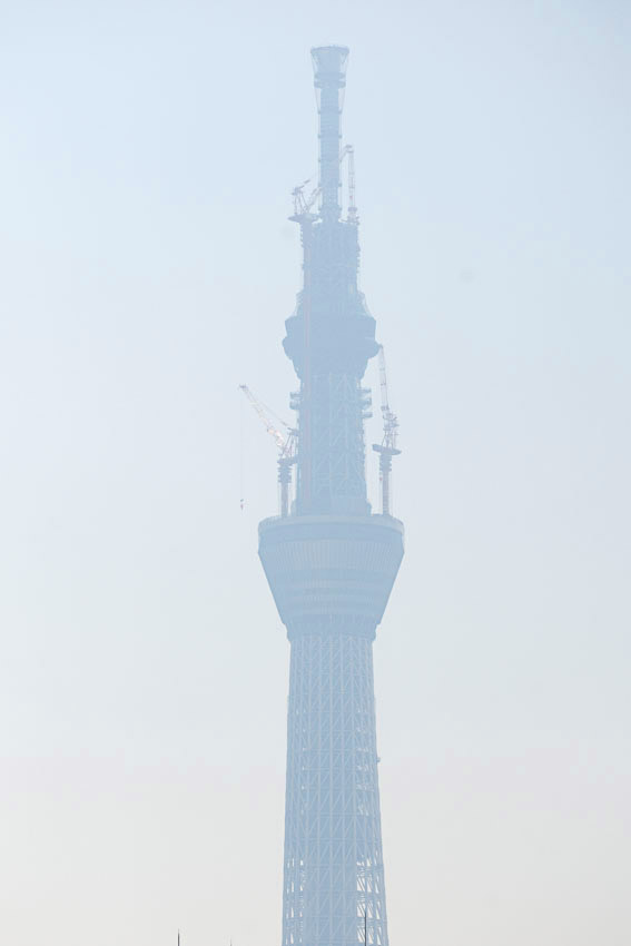f0077849_16403696.jpg