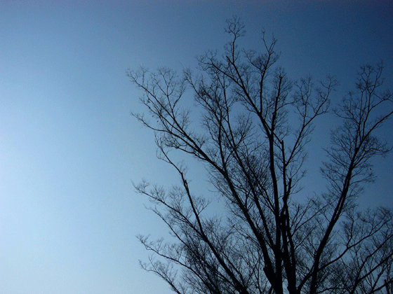 c0225153_23464451.gif