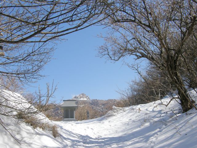 c0042869_2010117.jpg