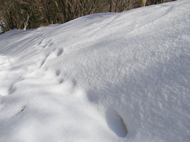 c0042869_2034446.jpg