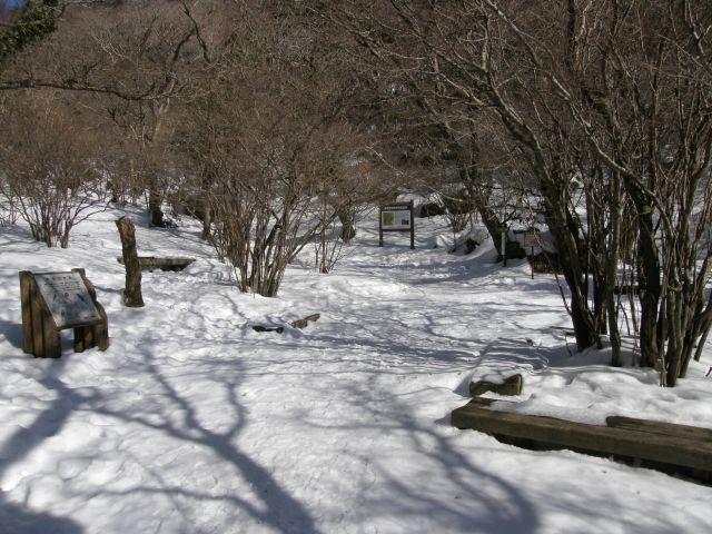 c0042869_2052115.jpg