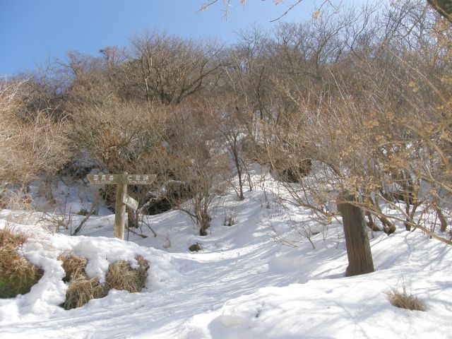 c0042869_2074147.jpg