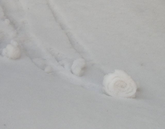 c0042869_2091619.jpg