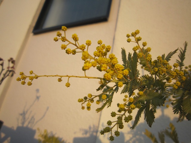 c0202870_21184477.jpg