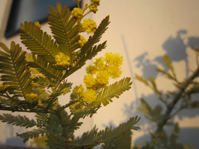 c0202870_21264094.jpg