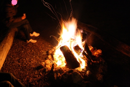 f0186671_203194.jpg
