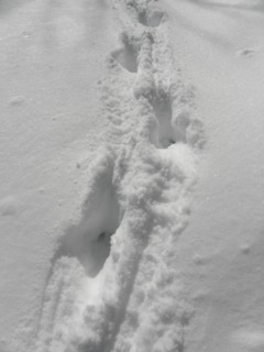 d0134473_16182342.jpg