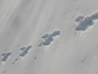 d0134473_1620080.jpg