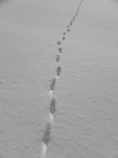 d0134473_16214616.jpg