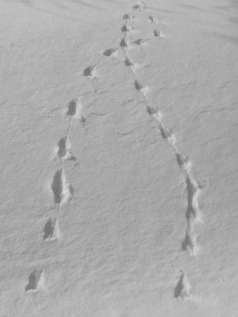 d0134473_16262535.jpg