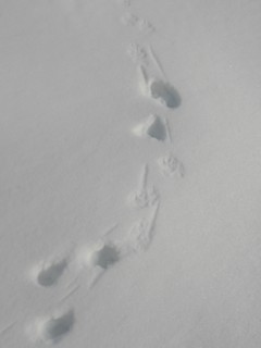d0134473_16285226.jpg