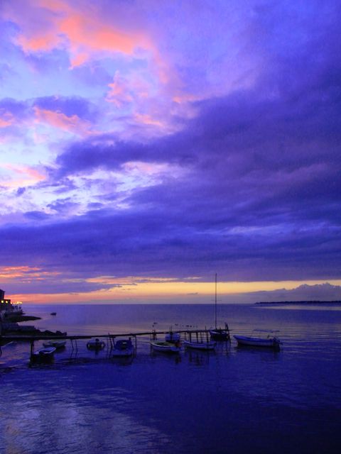 d0189176_1655046.jpg