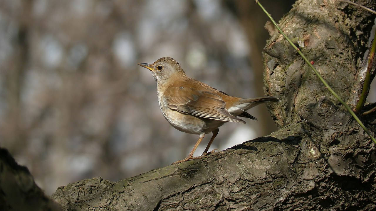 a0185081_20551953.jpg