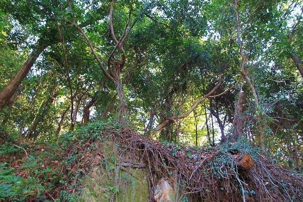 f0238184_1036839.jpg