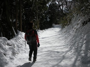 b0050787_101328100.jpg
