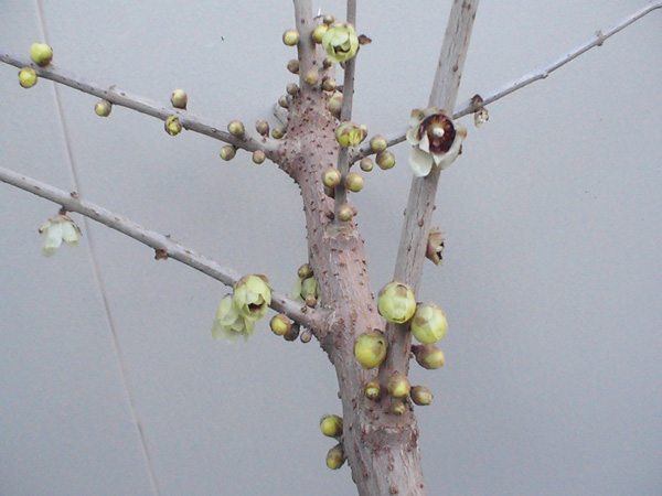 b0071688_235757.jpg