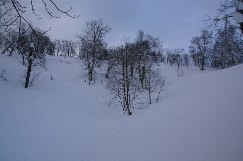 b0198789_1442269.jpg