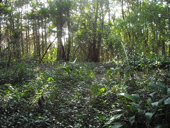 a0170390_23112915.jpg