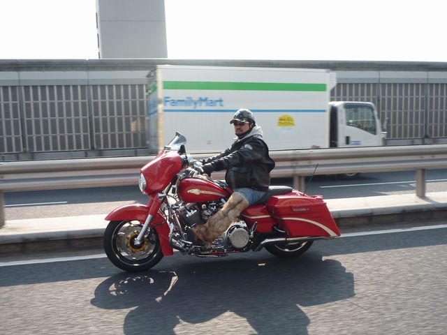 b0190092_1915250.jpg