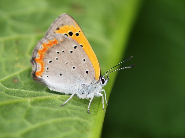b0194593_13115549.jpg