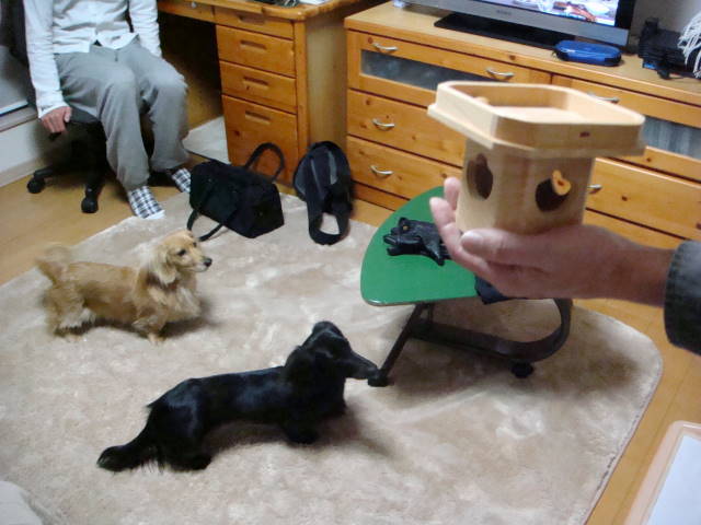 d0098295_0424585.jpg