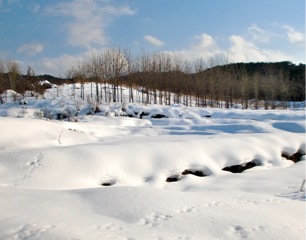 c0151898_17113134.jpg