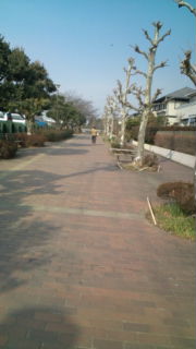 c0090100_19255321.jpg