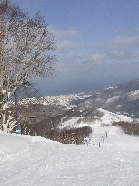 f0157901_2032133.jpg