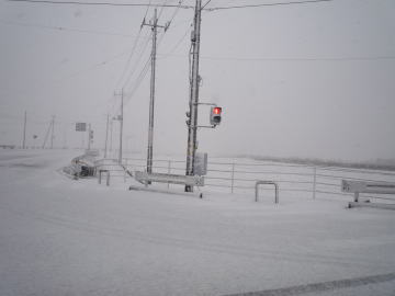 e0070606_233269.jpg