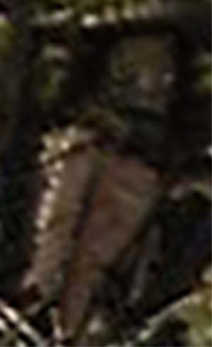 e0103408_14215741.jpg