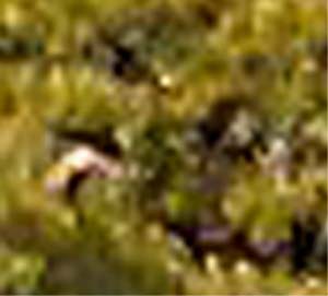 e0103408_14374869.jpg