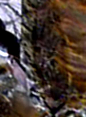 e0103408_8533095.jpg