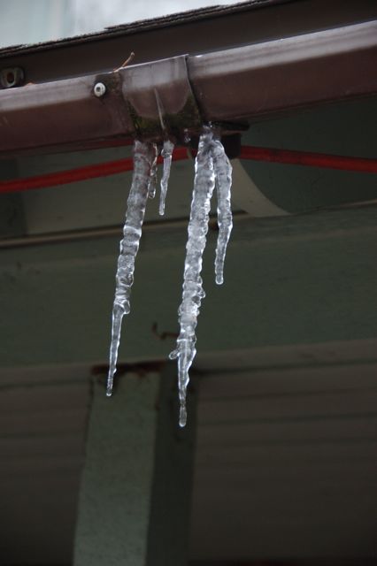 f0227709_714559.jpg