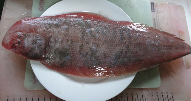 f0231709_16204850.jpg