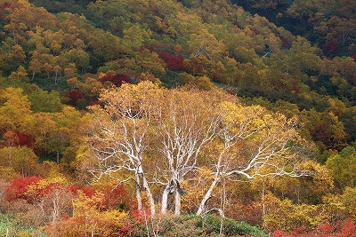 e0219011_10431956.jpg