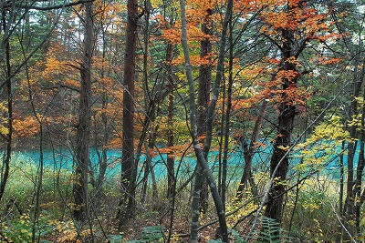 e0219011_10434169.jpg