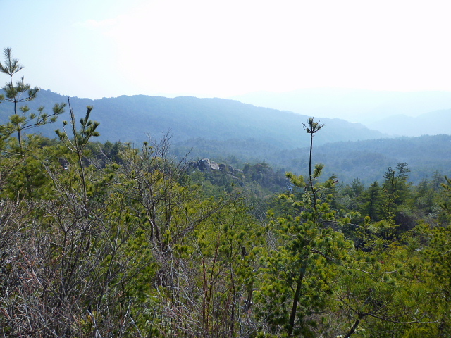 d0170615_13255024.jpg