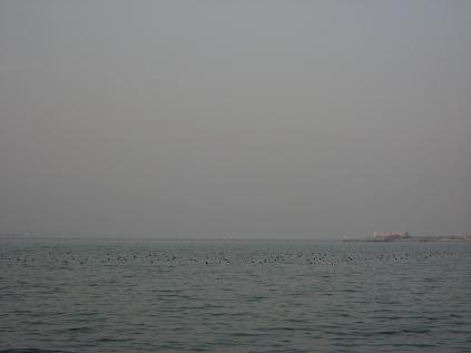a0044916_9241277.jpg