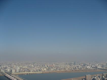 a0044916_941741.jpg