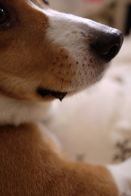 c0127617_11584671.jpg