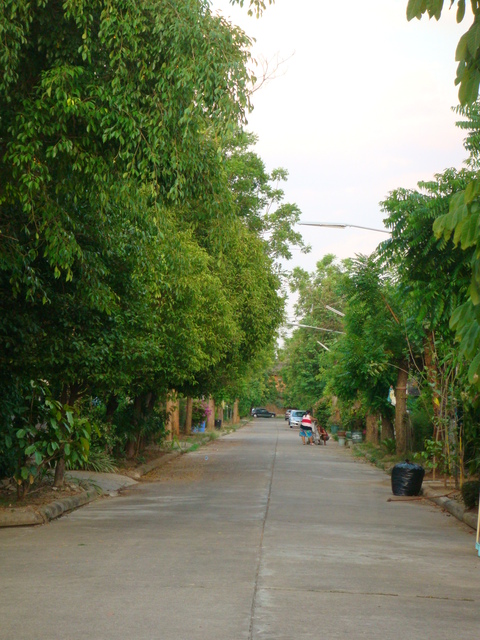 d0159325_1351450.jpg