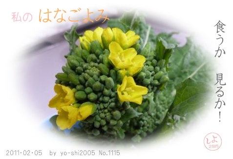 e0033229_21522020.jpg
