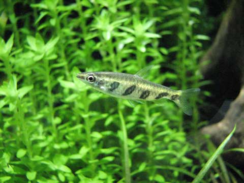 d0200130_115130.jpg