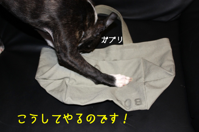 a0190132_1173161.jpg