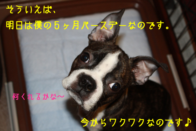 a0190132_122371.jpg