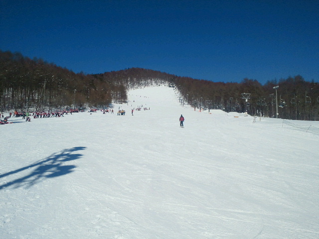 e0064133_1412349.jpg