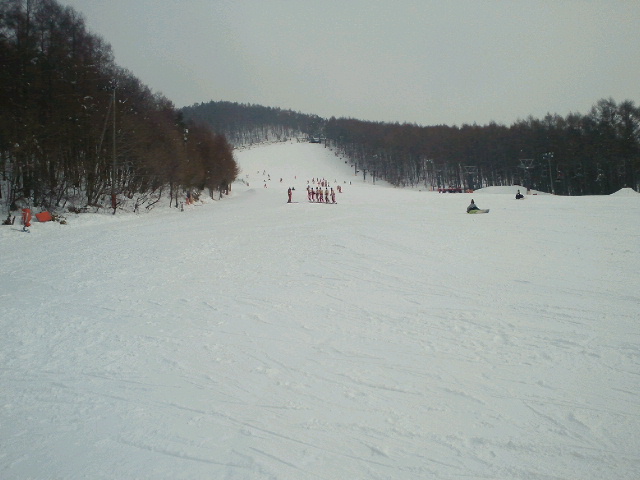 e0064133_14123499.jpg