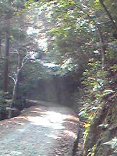 a0155838_2237562.jpg